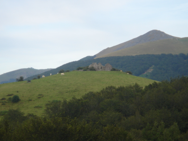 Albirena