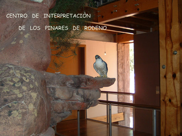 Albergue Rural Econatur