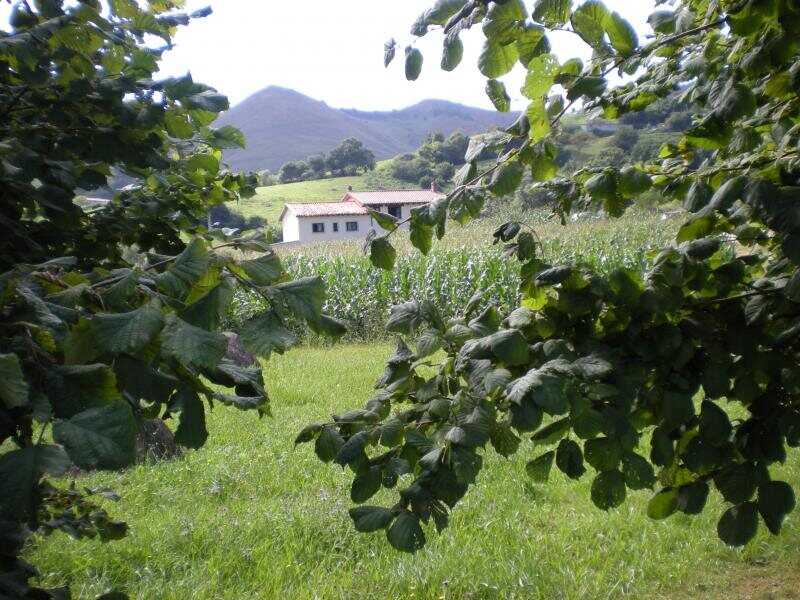 C A El Corru