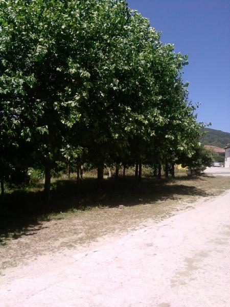 Casa Rural La Cabaña