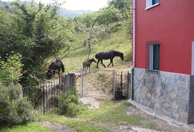 Casa Prado