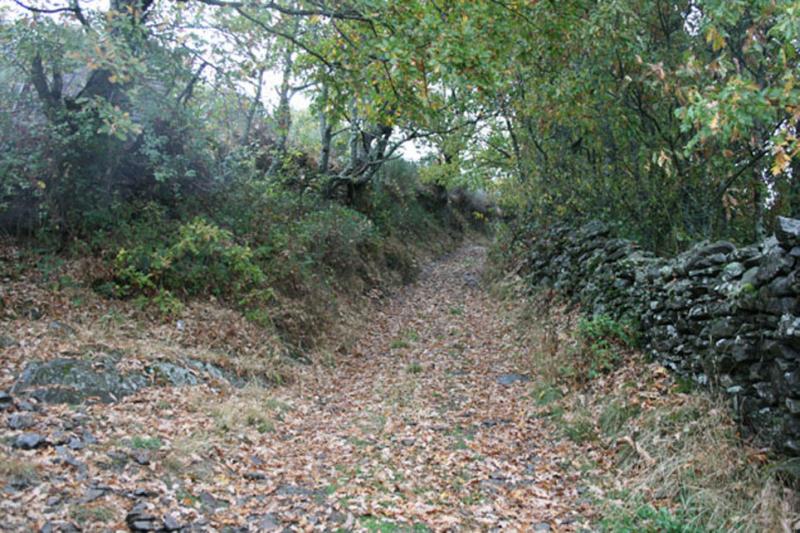 Casa Rural Calecha