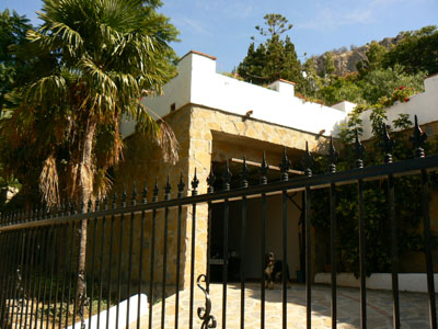 las palmeras
