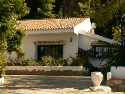 las palmeras