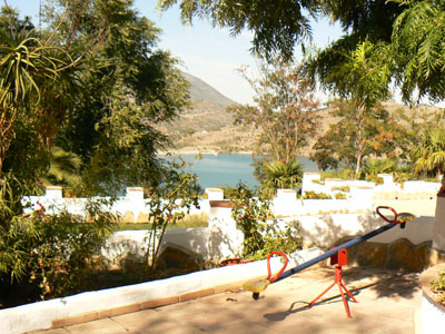 las palmeras