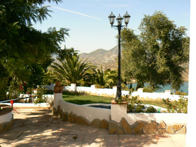 las palmeras