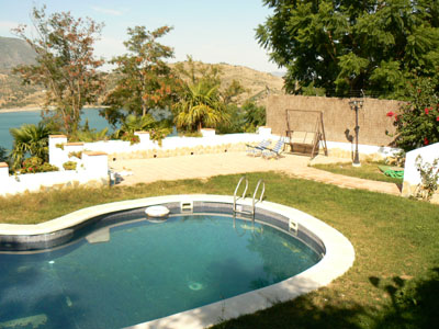 las palmeras