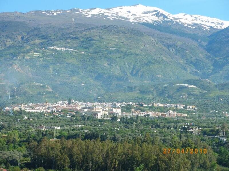 el vergel