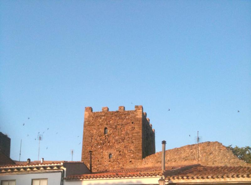 Castillo De Añón