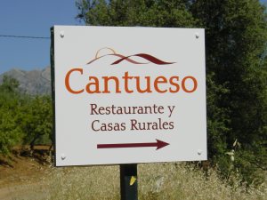 Cantueso