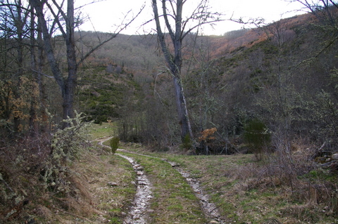 Casa Rural Aguas Frias