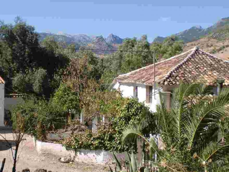 Cortijo Rubiales
