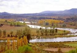Camping Sacedon