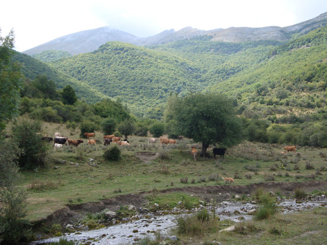 La Reserva