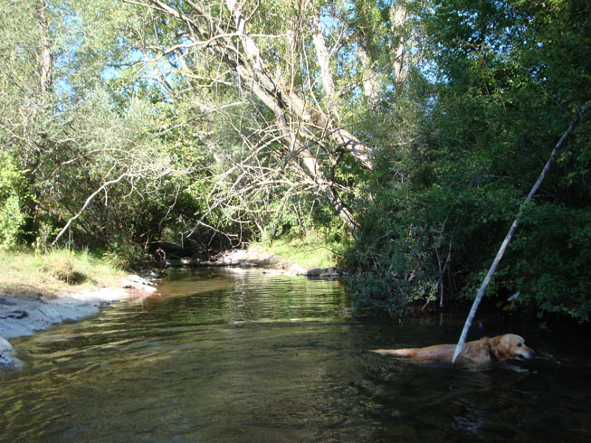 La Reserva