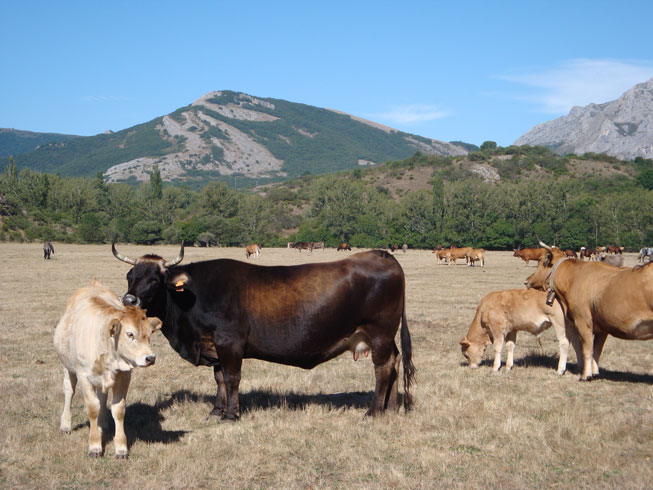 La Reserva