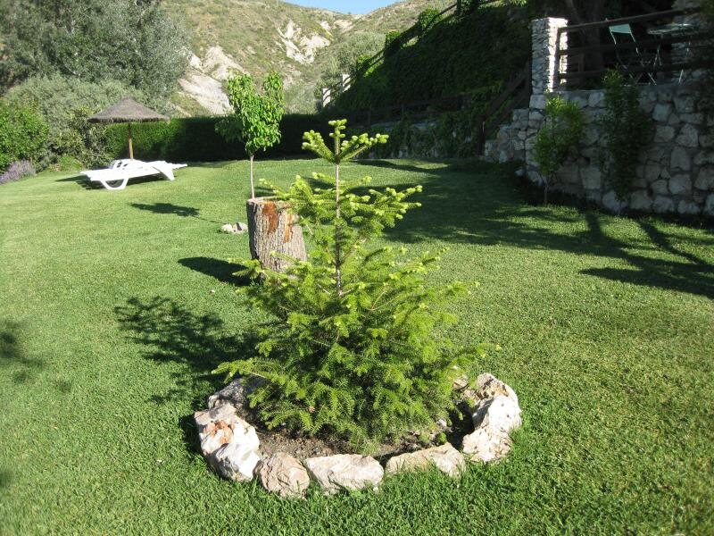 Bancal De Los Pérez