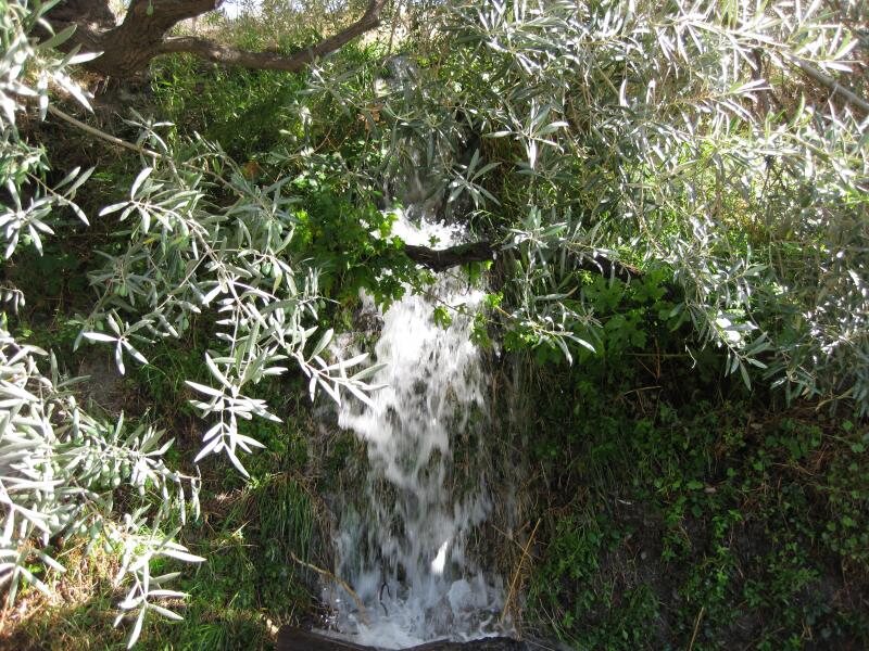 Bancal De Los Pérez