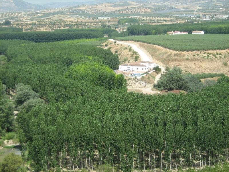 Cortijo Del Guarda