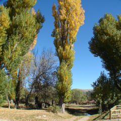 El Refugio De La SaÚca