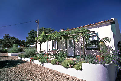Quinta No Campo