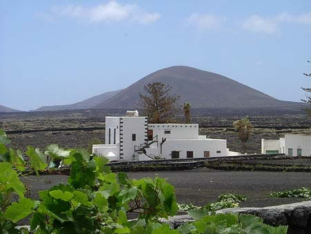 Finca Fisalaya