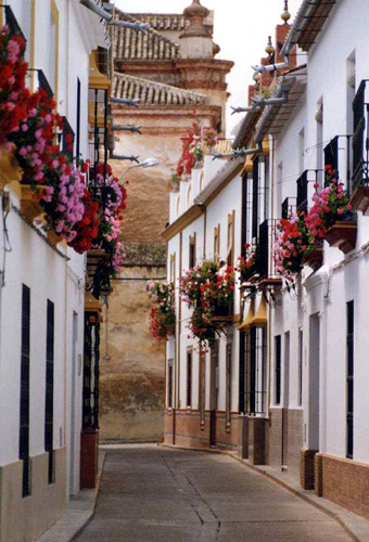 Casa El Pocito