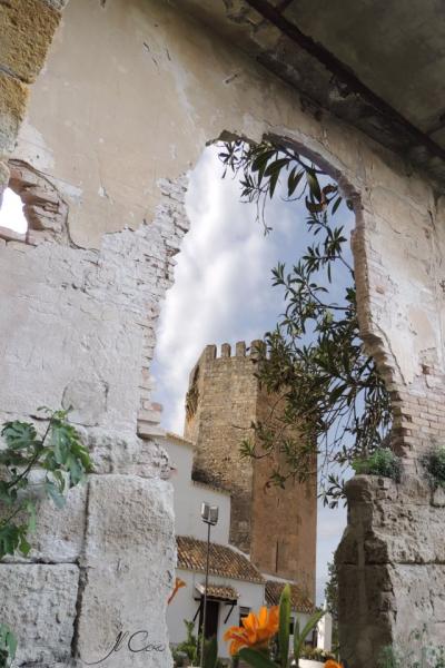 Casa El Pocito