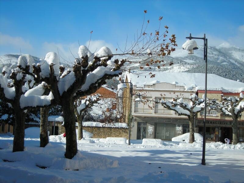 El Negrillon