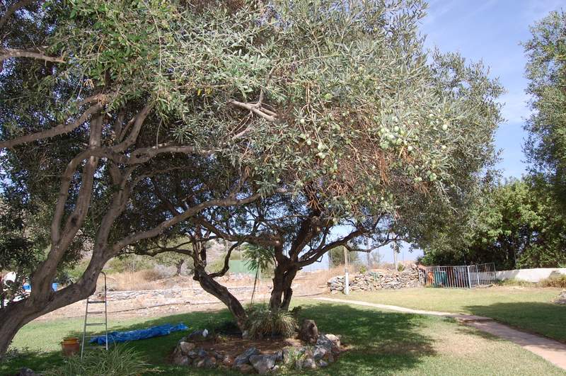 Casa Rural Carpe Diem