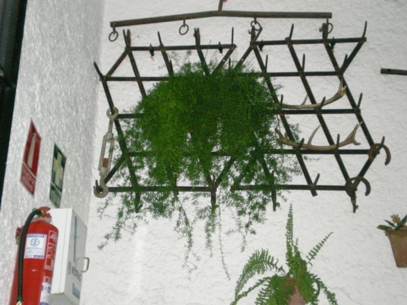 Casa  La Vereda