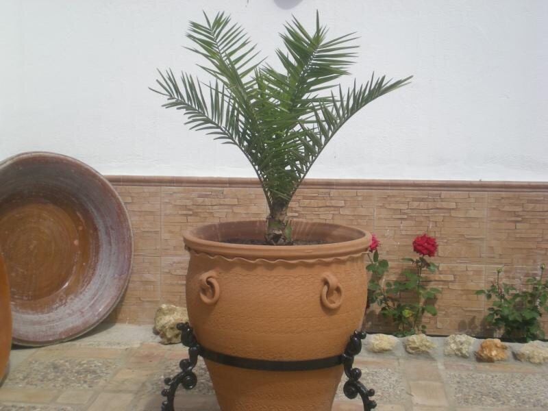 Casa  La Vereda