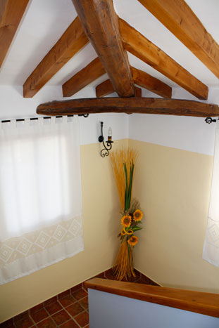 Casa Luna