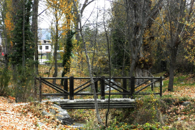 Casa Rural El Bosque