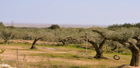 Casa Rural Vinaixarop