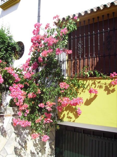 Casa Huerta San Miguel