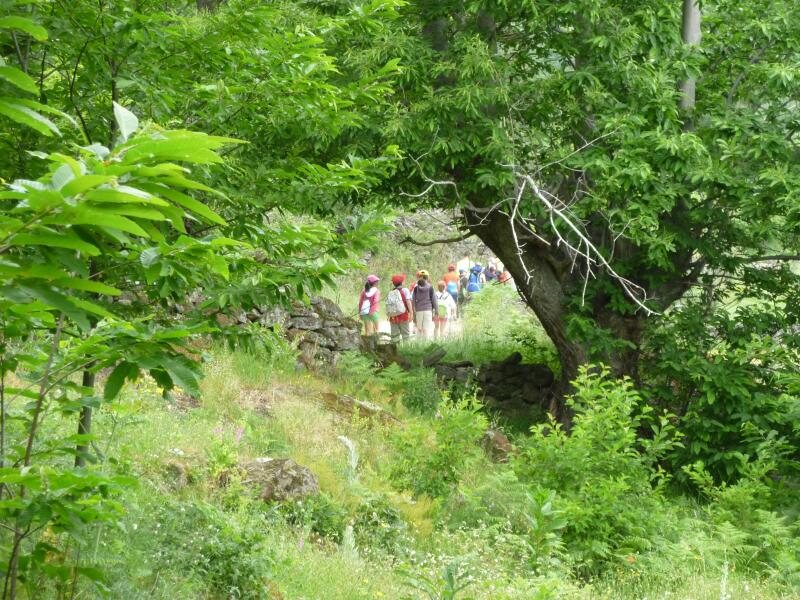Albergue Garganta De La Chorrera