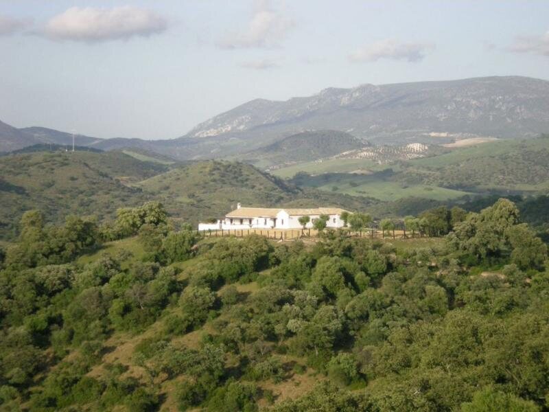 El Puerto Del Timon