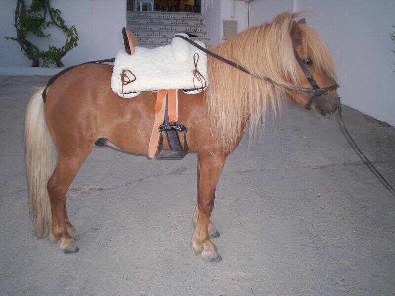 Finca El Boyero