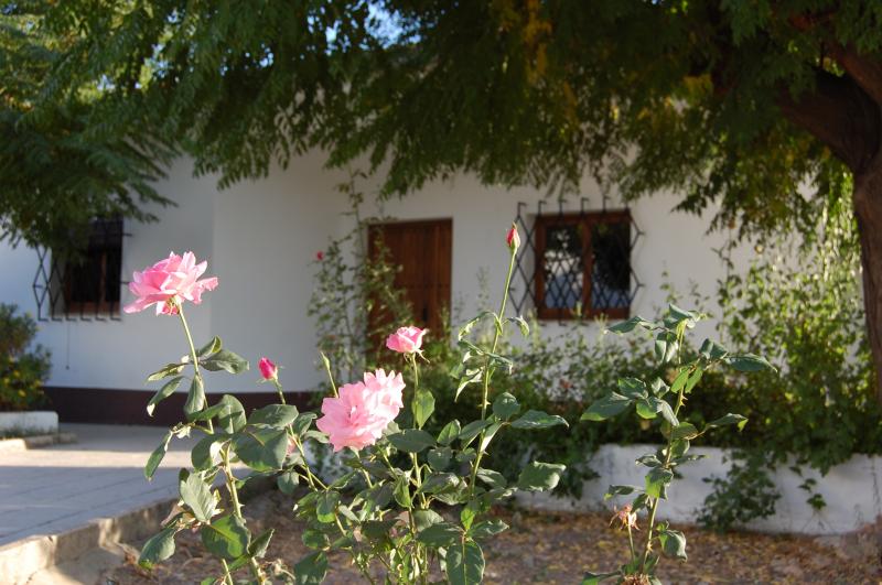 Hacienda San Francisco