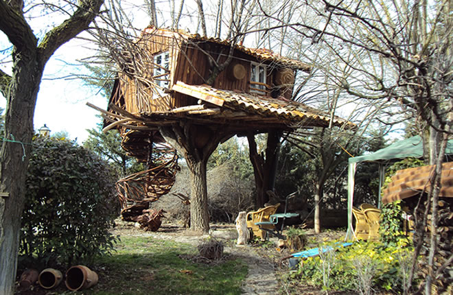 La Casita Del Arbol