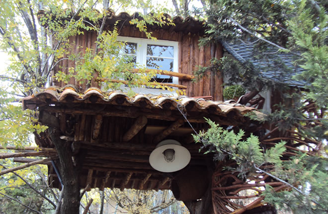 La Casita Del Arbol