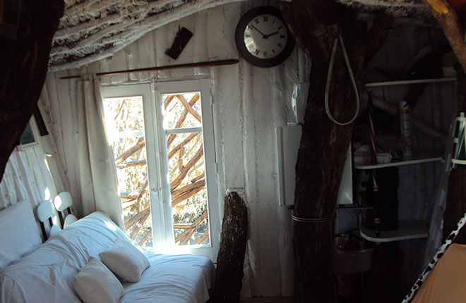 La Casita Del Arbol