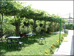 Casa Lola O Sear