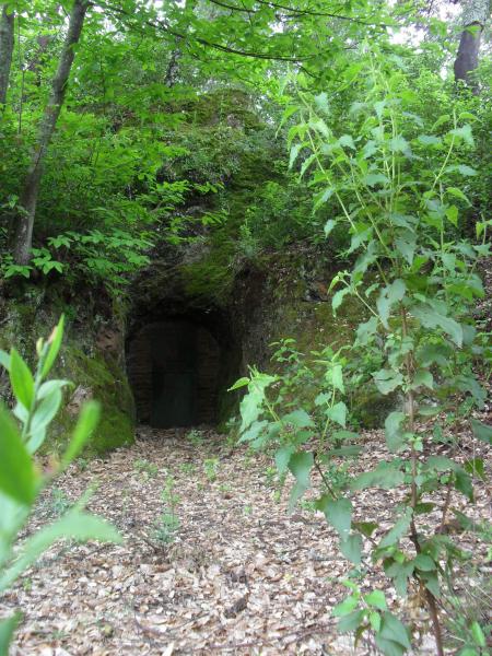 Los Madroños