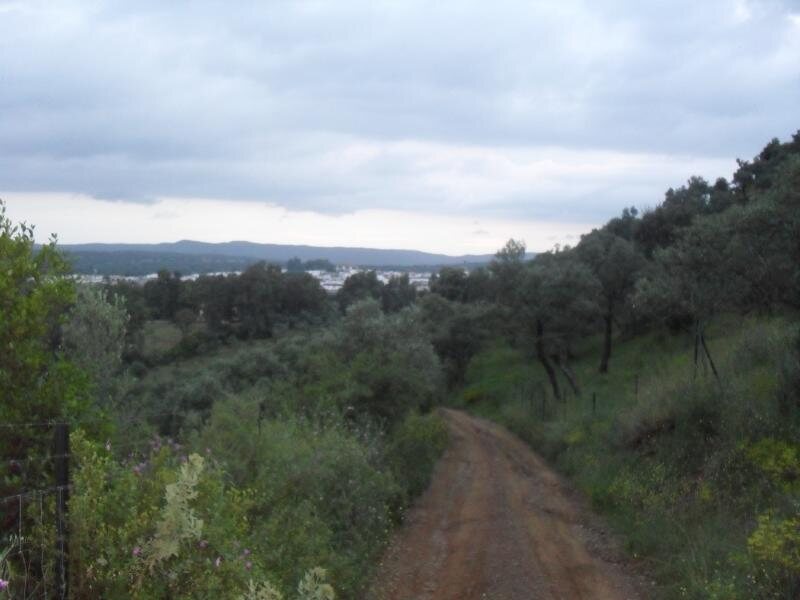 Los Madroños