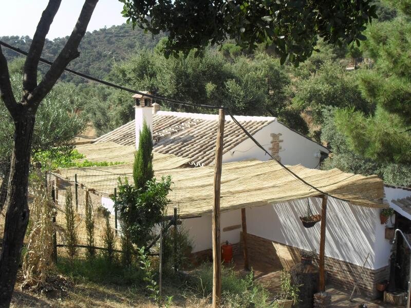 Los Madroños