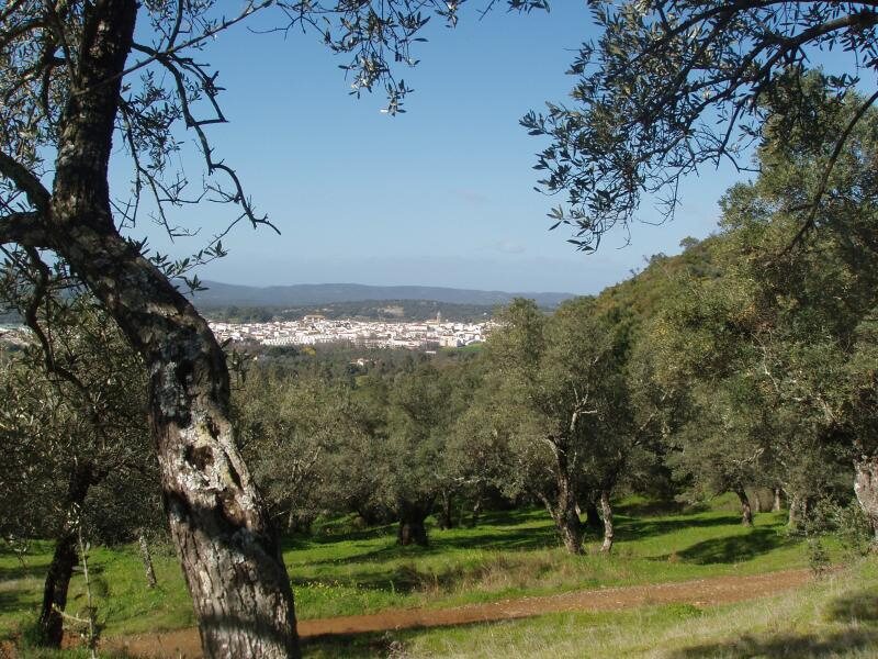 Los Madroños