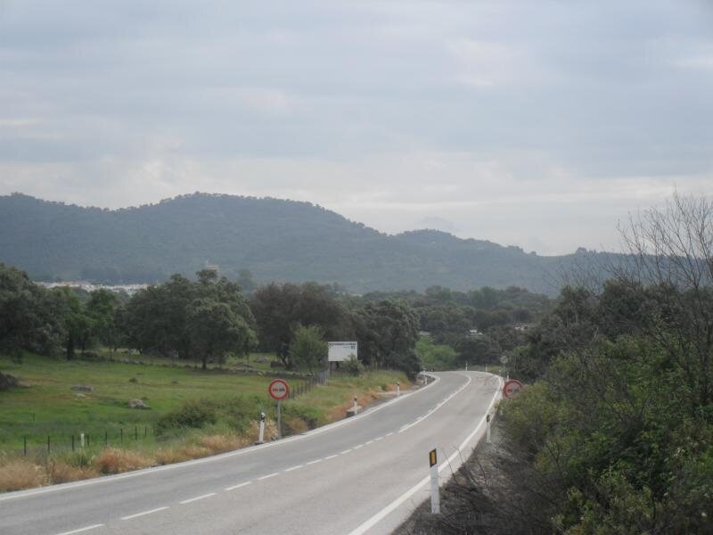 Los Madroños