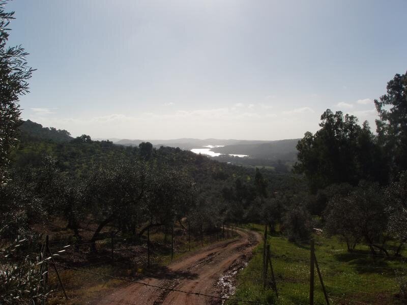 Los Madroños